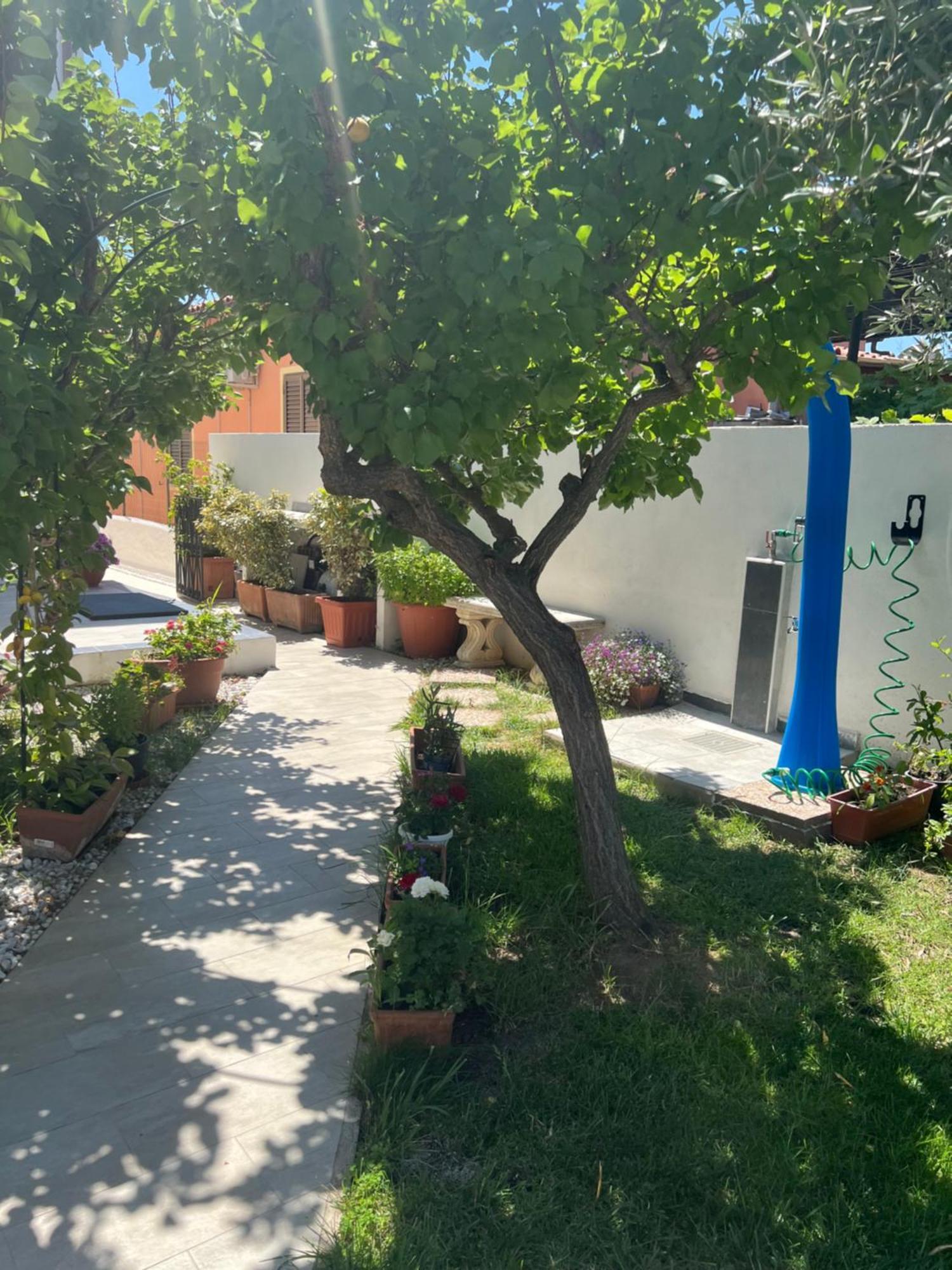 Wonderland Hotel San Teodoro  Exterior photo
